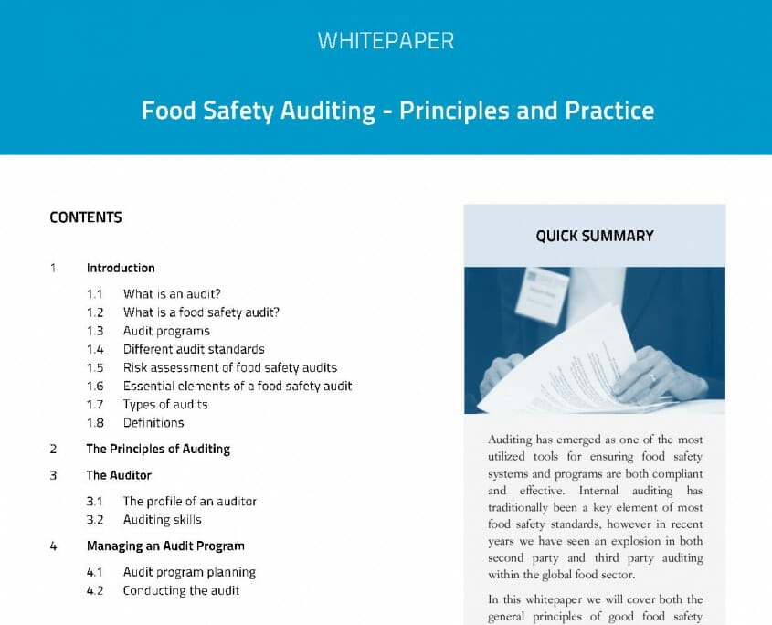 Auditing Principles and Practice page 001
