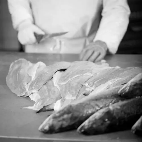 contamination control bw