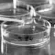 Hazard Database 1 hazard database bw