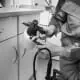 pest control bw