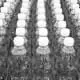 Products & Materials 2 raw materials and product bw