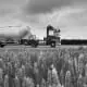 Supplier Management 1 supplier management bw