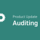 Auditing