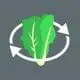 Blog image Romain Lettuce blog