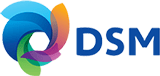 dsm logo resized 2