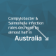 June 2020 Food Safety News and Industry Round-up 41 June 2020 Food Safety News Blog Image