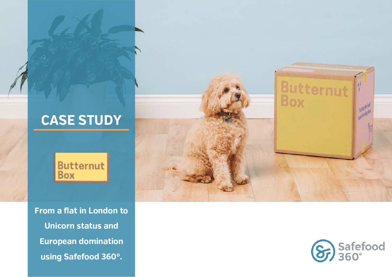 Butternut Box Case Study Safefood 360 pdf