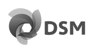DSM safefood360 customer