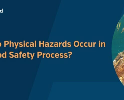 How do Physical Hazards Occur in the Food Safety Process 1
