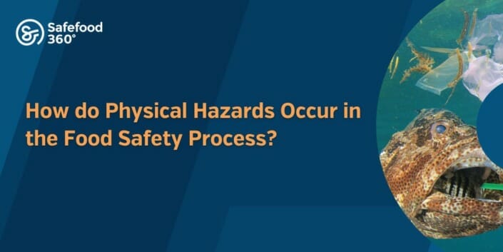 How do Physical Hazards Occur in the Food Safety Process 1
