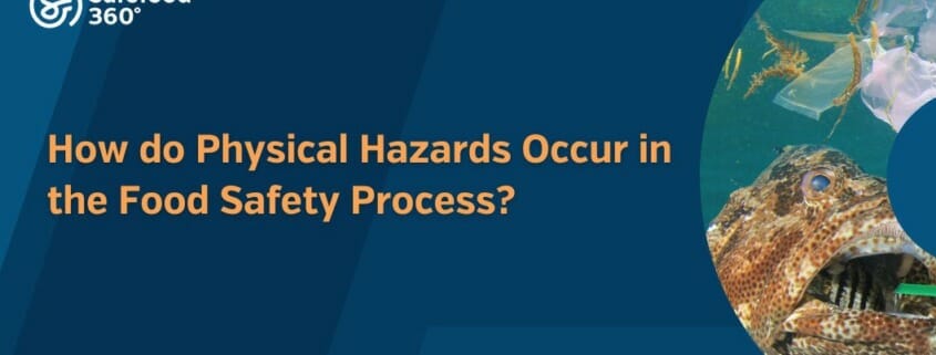 How do Physical Hazards Occur in the Food Safety Process 1