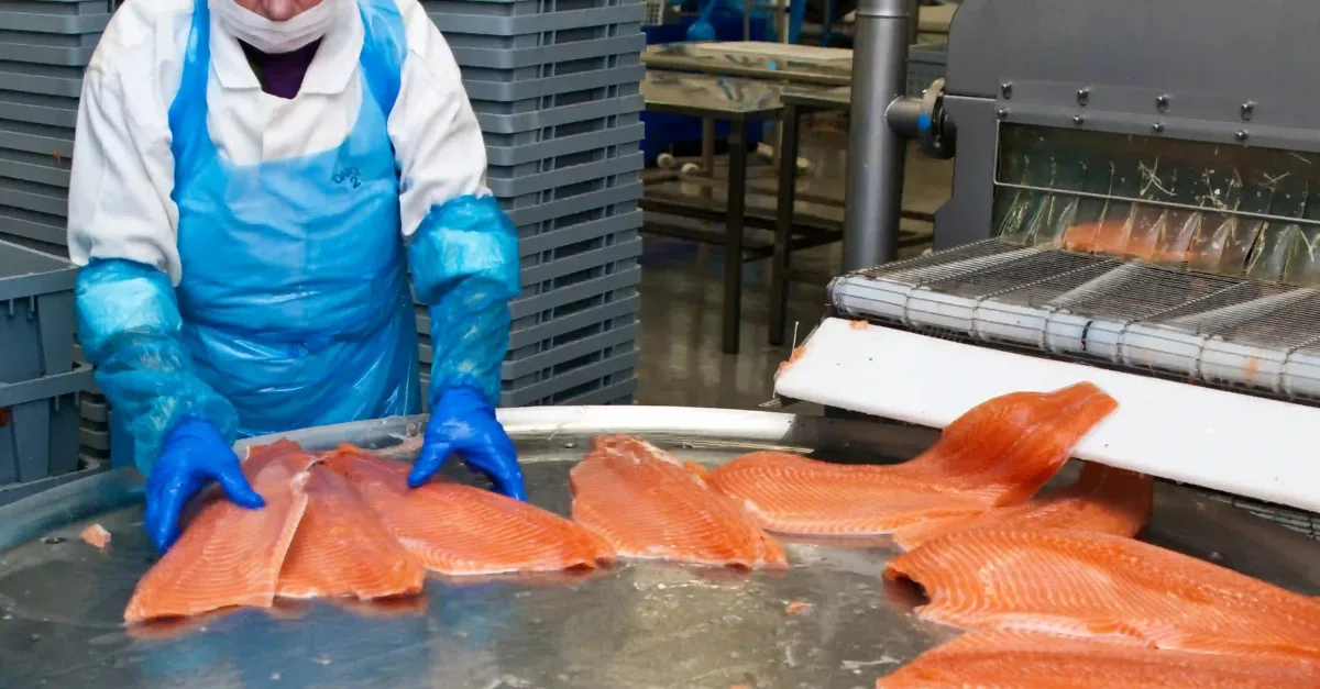 Man processing at seafood company