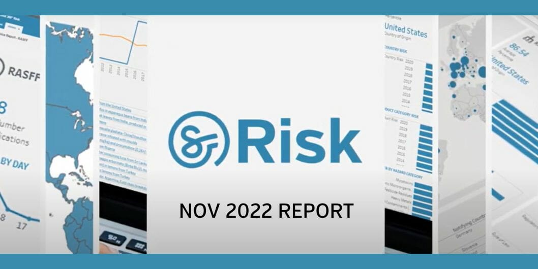 RISK Nov 2022 report