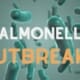 Salmonella outbreaks