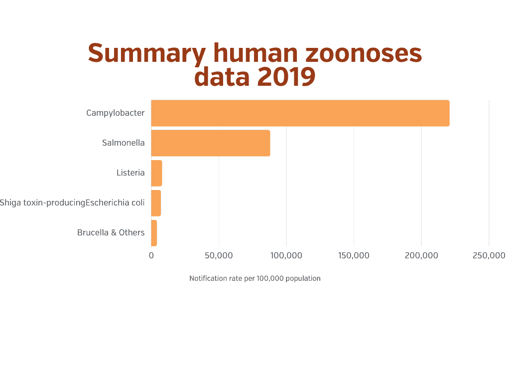 Summary human zoonoses data 2019