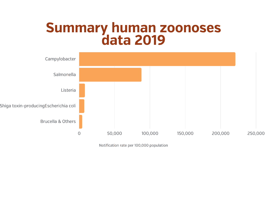 Summary human zoonoses data 2019