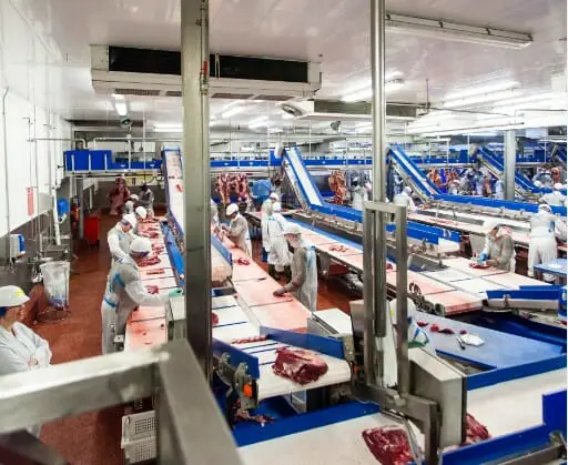 food processing environment