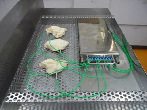 temperature chicken 2